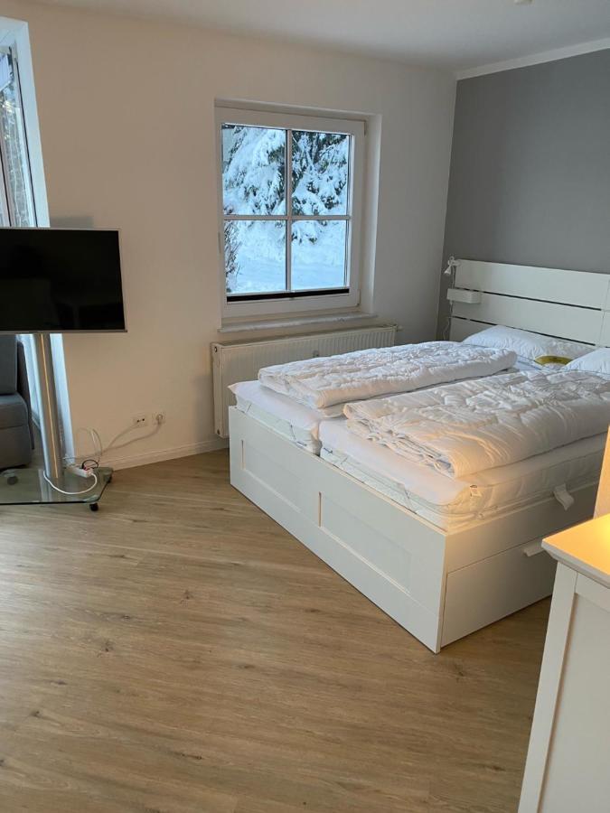 Harztraum-6 Apartment Braunlage Luaran gambar